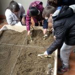 Laboratorio di scavo per la ricerca e la catalogazione dei fossili organizzato per gli alunni delle scuole primarie